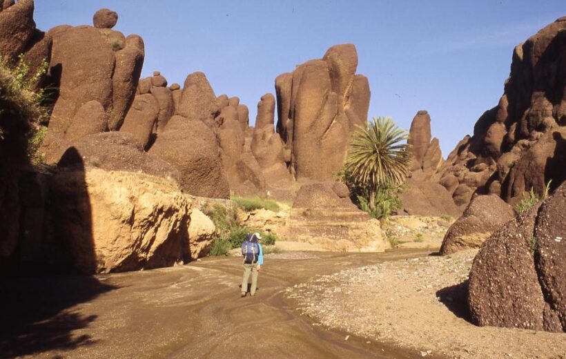 L'or rouge du djebel Siroua